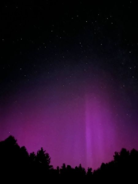 Файл:Photo 2024-08-29 14-34-21.jpg