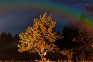 Photo 2024-09-22 06-41-30.jpg