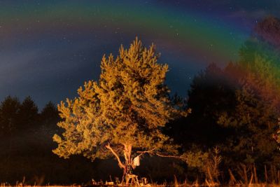 Photo 2024-09-22 06-41-30.jpg