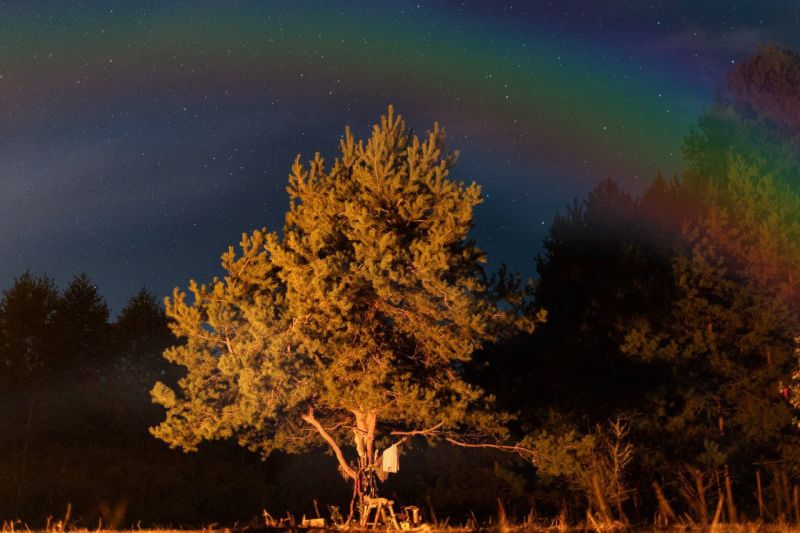 Файл:Photo 2024-09-22 06-41-30.jpg