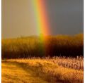 Crimea rainbow.jpg